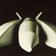 Illustration for article titled This Concept Art From The Shuttle Programapos;s Early Days Is Gorgeous, Deliciously Retro